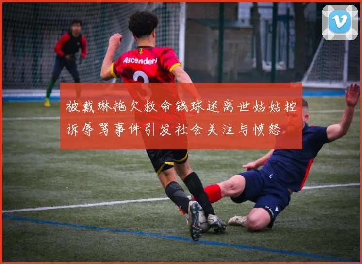 被戴琳拖欠救命钱球迷离世姑姑控诉辱骂事件引发社会关注与愤怒