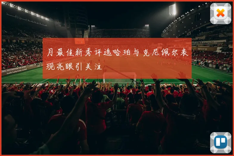 月最佳新秀评选哈珀与克尼佩尔表现亮眼引关注
